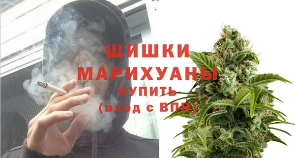 сатива Алексин